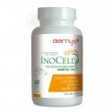 InoCell™ 60 kapslí